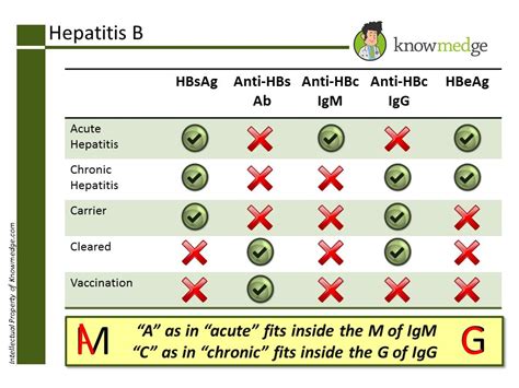 Hepatitis B serology | Medical knowledge, Medicine student, Nurse ...