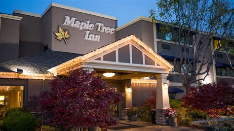 Photo Gallery | Hotel Near San Jose Airport | Maple Tree Inn