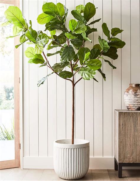 Best Faux Fiddle Leaf Fig Trees That Beautify Your Decor - House Of Hipsters