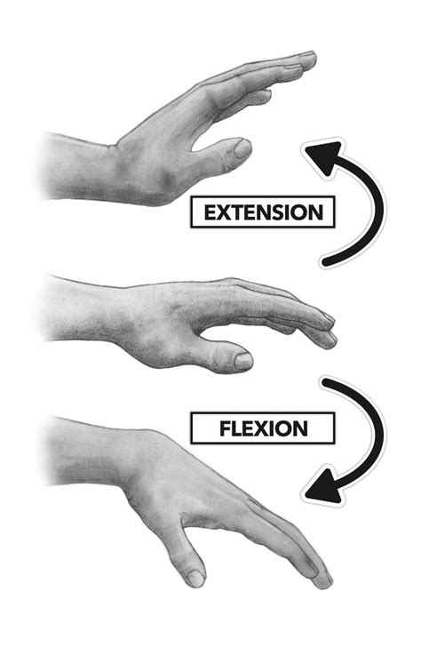 two hands reaching towards each other with the words extension, flexion ...