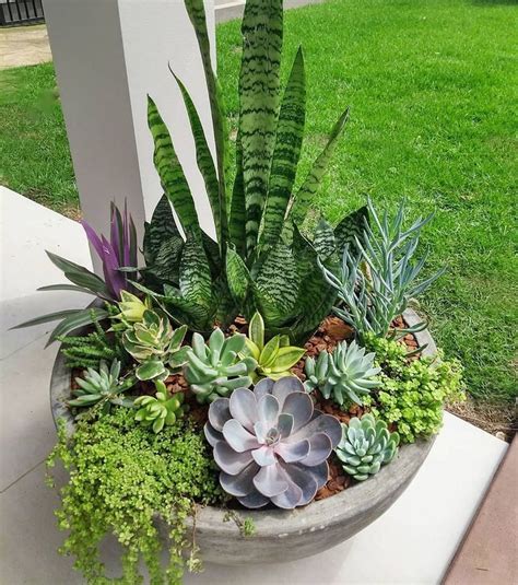 20+ Outdoor Succulent Garden Ideas – The Urban Decor