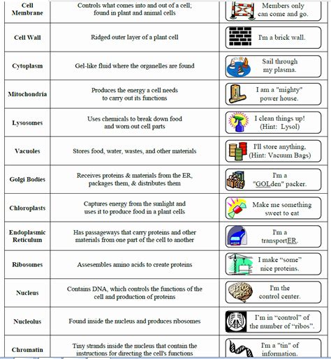 50 Cell City Analogy Worksheet