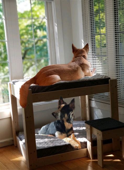 Elevated Dog Bed Platform With 2 Steps 32 High Large Dog Bunk - Etsy