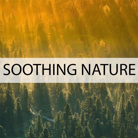 ‎Soothing Nature by Nature Sounds on Apple Music