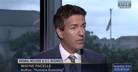 In the News | Wayne Pacelle