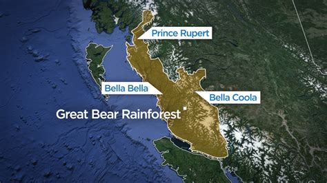 Getting to know more about the Great Bear Rainforest | Globalnews.ca