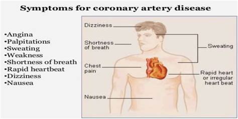 Coronary Artery Disease (Causes, Symptoms, and Complications) - Assignment Point