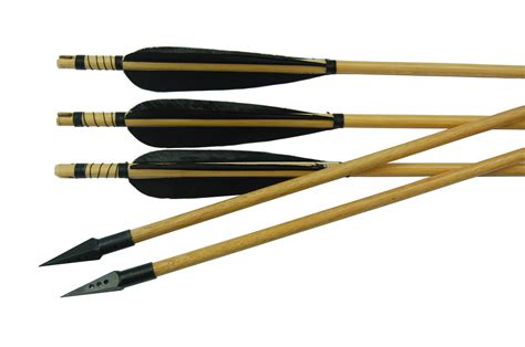 China Steel Arrow Point Archery Wooden Arrow with Black Fletching - China Arrow, Wood Arrow