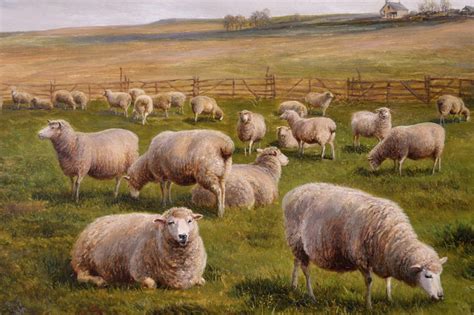 Charles Jones - 19th Century landscape oil painting of Sheep, Painting ...