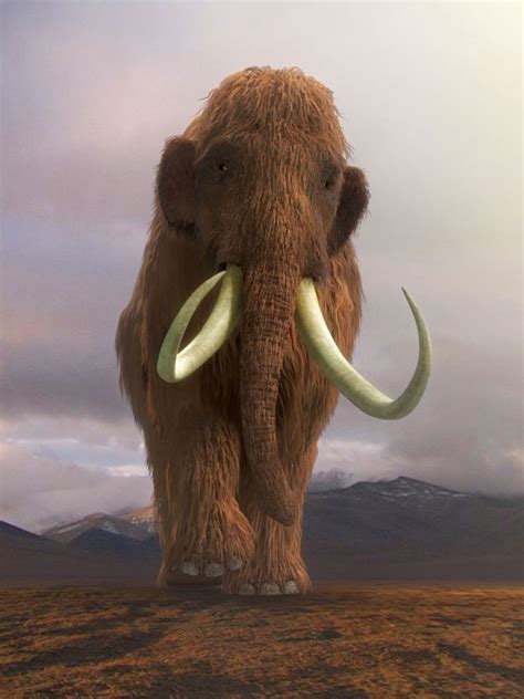 Scientists considering creating elephant-mammoth hybrid to battle ...