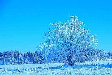 Blue Winter by nikkorglass, via Flickr Winter Wonderland, Flickr, Mountains, Explore, Natural ...