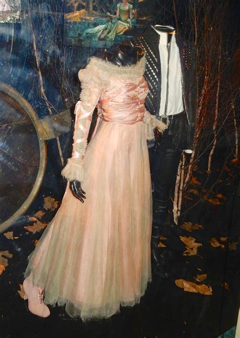 Hollywood Movie Costumes and Props: Into the Woods Rapunzel and Prince ...