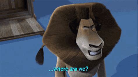 Madagascar Alex The Lion GIF – Madagascar Alex The Lion Where Are We – Otkrivajte i delite GIF-ove