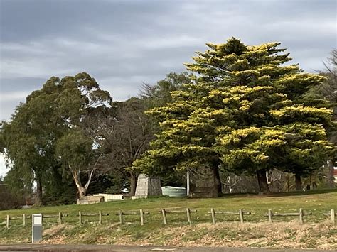 Gallery – Gold Camp Castlemaine