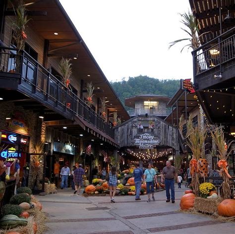 344 best My favorite place! Gatlinburg, Tn images on Pinterest | Tennessee vacation, Gatlinburg ...