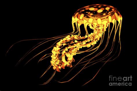 A Brightly Colored Bioluminescent Digital Art by Corey Ford | Fine Art America