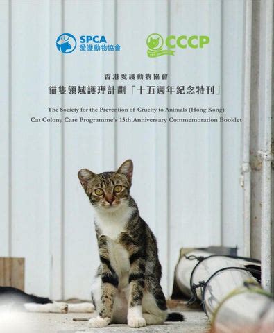 SPCA Cat Colony Care Programme 15th Anniversary Commemoration Booklet by SPCA - Issuu