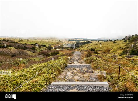 Hiking Trail in Jeju Island Stock Photo - Alamy