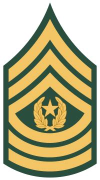 U.S. Army Command Sergeant Major - Pay Grade and Rank Details