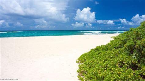 Kahuku Beach - Beaches On Oahu Kahuku, Hawaii