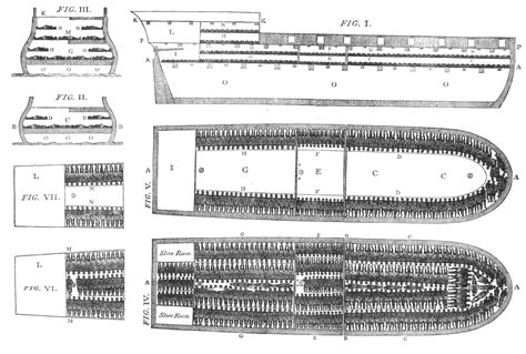 Slaveship Plan Section elevation | British museum, Slaves, Georgia vacation