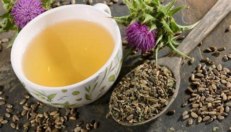 Los 20 Grandes Beneficios Del Té De Cardo Mariano