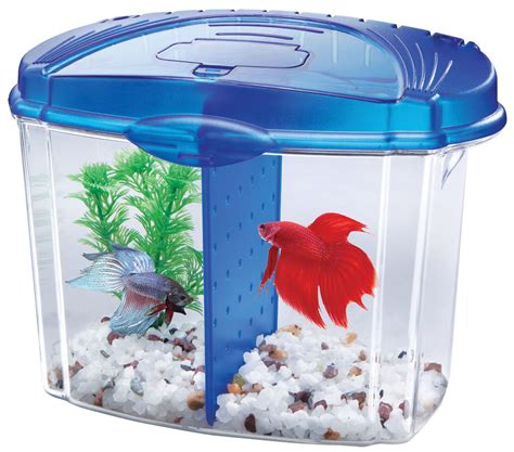 Aqueon Products-Glass-Betta Bowl Kit With Divider- Blue .5 Gallon | eBay