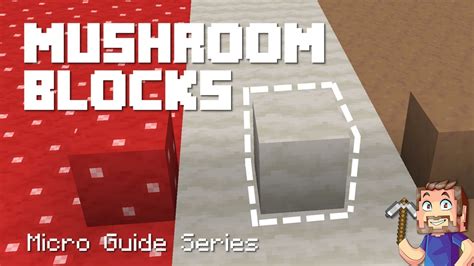 Mushroom Blocks - Minecraft Micro Guide - YouTube