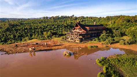 The Ark Lodge| Hotel 4* premium en Aberdare, Kenia| Samaki Safaris