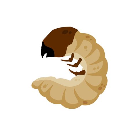 Insect larva. White caterpillar. Little worm parasite. Flat cartoon illustration isolated on ...