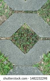 Grass Block Known Turf Block Pavers Stock Photo 1482232298 | Shutterstock