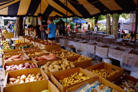 Coconut Grove Saturday Farmers Market - David's Been Here