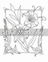 Tiger Lily Coloring Page  Etsy sketch template