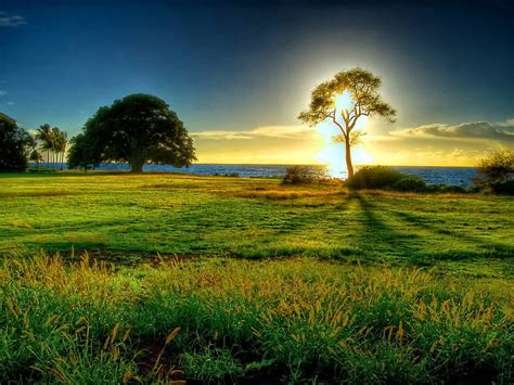 Beautiful Sunrise, green, sunrise, nature, trees, sky, field, HD ...