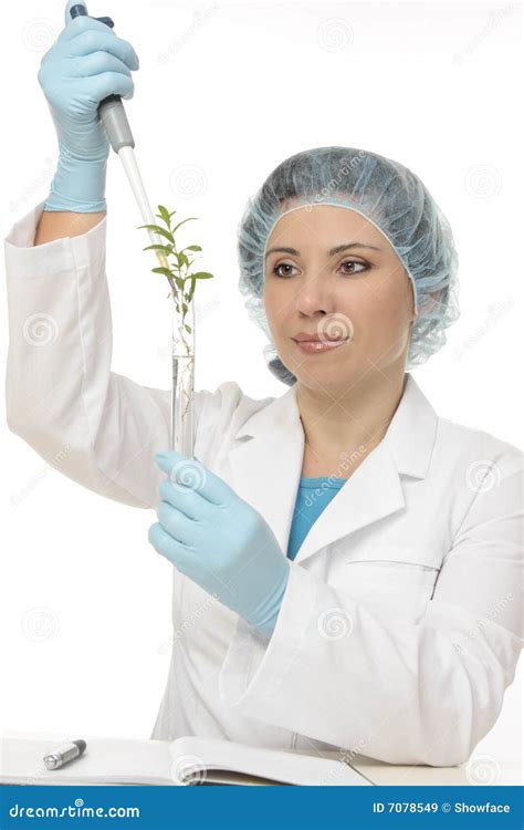 Botanical Experiment stock image. Image of green, leaves - 7078549