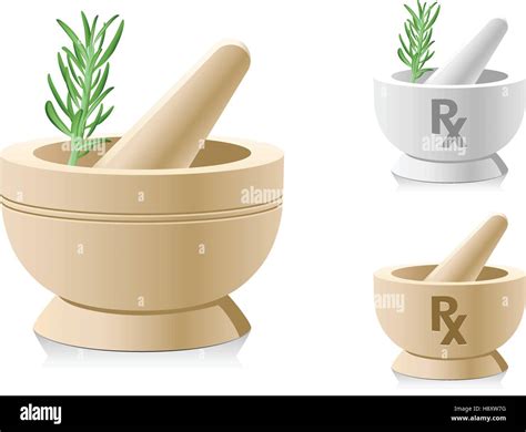 Mortar and pestle with RX symbol for medical prescriptions Stock Vector ...