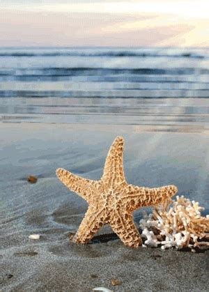 beach gif | Nature iphone wallpaper, Beautiful nature wallpaper, Beach ...