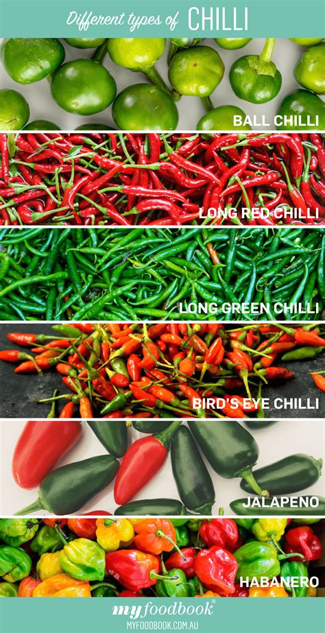 The different types of chillies | Cook Free Recipes from Australia's Best Brands | myfoodbook