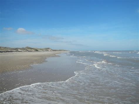 Boca Chica Beach - Picture of Boca Chica State Park, Brownsville - TripAdvisor