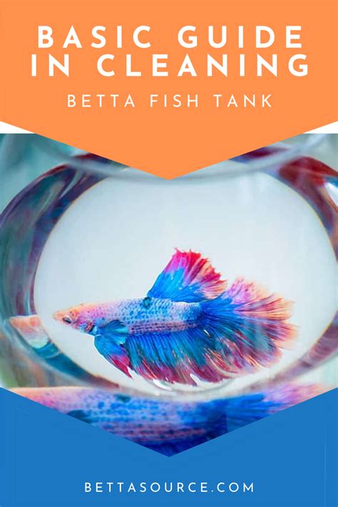 Cleaning Betta Fish Tank: Everything About the Cleaning Process