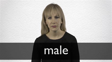 How to pronounce MALE in British English - YouTube