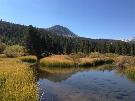 Rock Creek Bishop, CA Rock Creek, Go Camping, River, Mountains, Natural ...