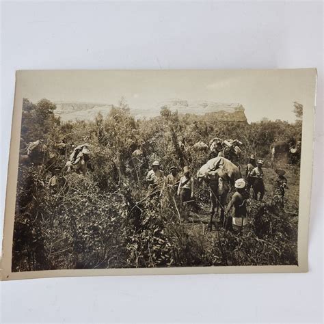 Egyptian Official Military Photograph British Troops Banks Of The Jordan WW1 — Wheeler Antiques