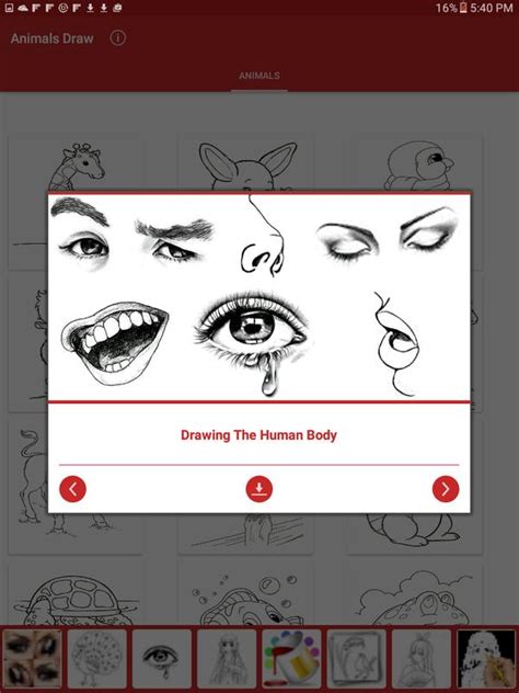 Drawing Animals APK Download - Free Entertainment APP for Android | APKPure.com