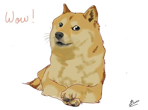 Doge by Orin-nyan on DeviantArt