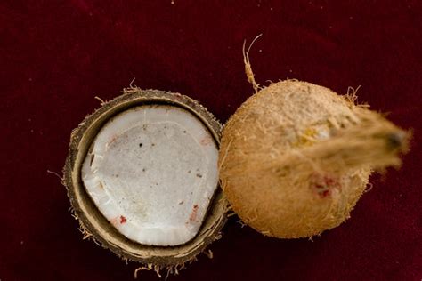 coconut | The coconut is used as an offering to Gods in trad… | Flickr