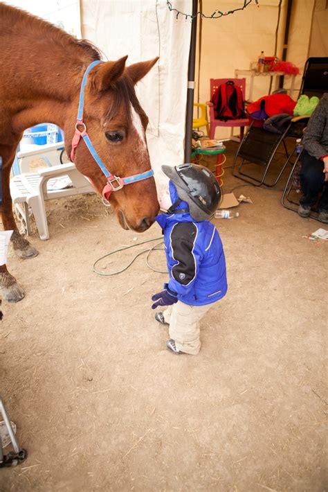 Autism: Understanding The Puzzle: Horse Therapy Coming Soon to Bountiful