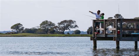 6 Pro Tips for Kiawah Island Fishing - Pam Harrington Exclusives