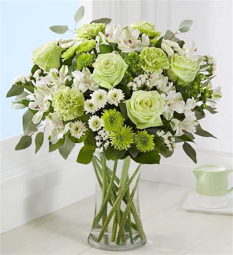 Green Flowers & Green Plants | Green Gifts | 1-800-FLOWERS.COM-1021