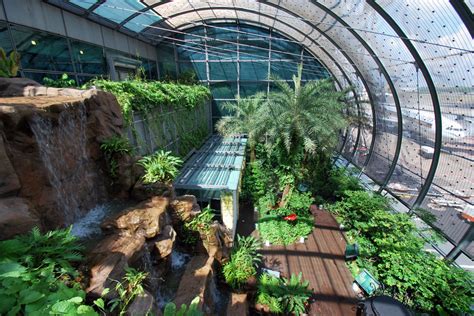 Butterfly Garden changi airport - Living + Nomads – Travel tips, Guides ...